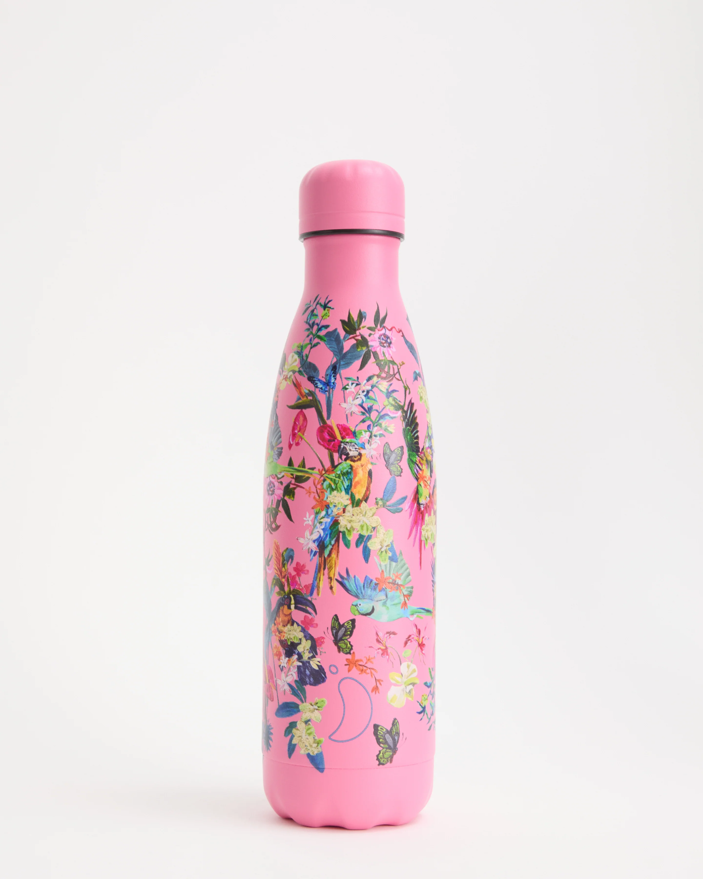 Macaw Madness Water Bottle